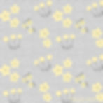 Buttercup Dash