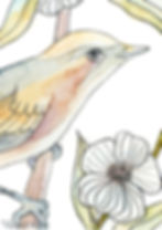 Blossom Bird No. 2