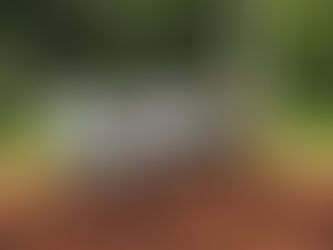 AMIUNA realiza ação de conscientização e denuncia descaso ambiental na Cachoeira do Saboeiro.