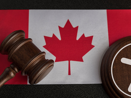 Statistics Canada Road to Accessibility