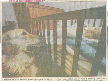 Guide dog Bryor watches baby Whitney through the bars of her crib.