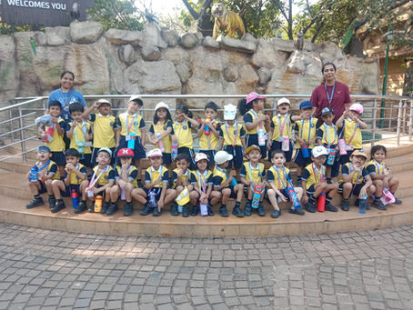 Kindergarten field trip visit to the zoo