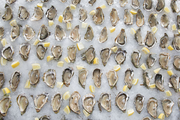 Raw Bar.jpeg