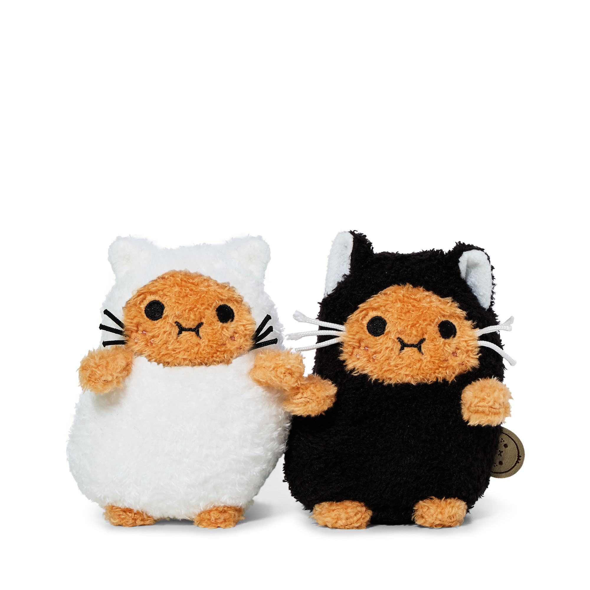 White cat Ricespud Mini