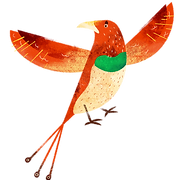 カラフルな鳥