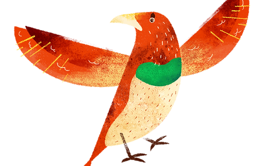 Colorful Bird