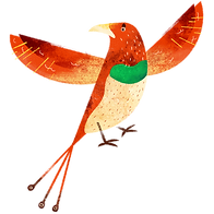 oiseau coloré