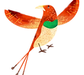 Colorful Bird