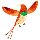 カラフルな鳥