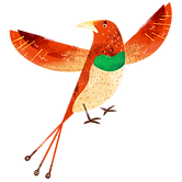 Colorful Bird