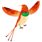 Colorful Bird