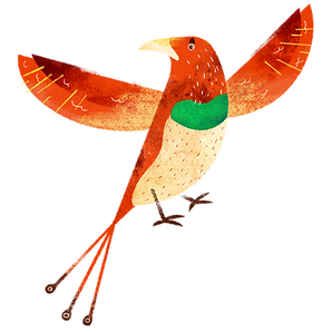 oiseau coloré