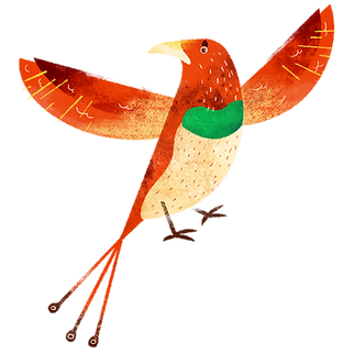 カラフルな鳥