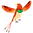 Colorful Bird
