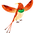 Colorful Bird
