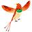 Colorful Bird