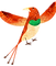 Colorful Bird