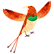 Colorful Bird