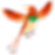 다채로운 조류