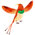 Colorful Bird