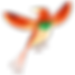 oiseau coloré