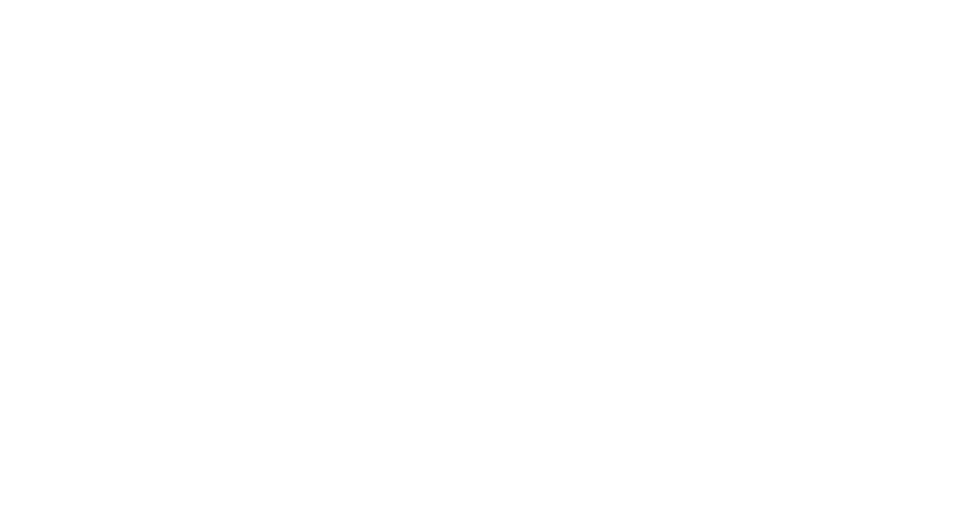 LOGO-REFLEX-WEB-&-MEDIA-BLANC.gif