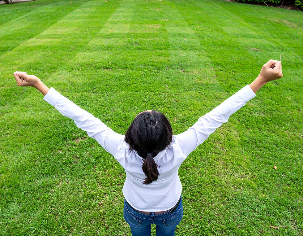 Firefly Someone celebration over a clean beautiful lawn. 720034.jpg