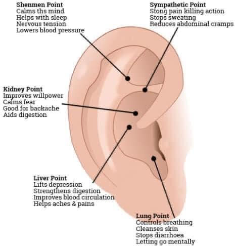 5NP Ear Acupuncture Points