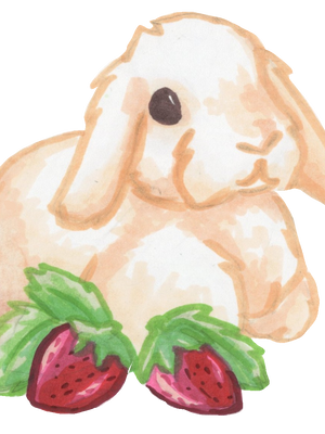 Rabbits and Strawberries in Marker