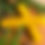 Miniature : Duo chandelles en cire d’abeille – Les Abeilles de Bourgogne