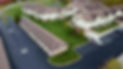 primrose4_edited.jpg