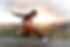 GettyImages-532783267.jpg
