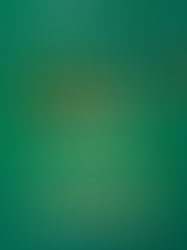 Live Music This St. Patrick's Weekend at the DV Lounge 🍀🎸