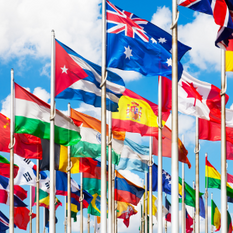Creating a Culture of Compliance