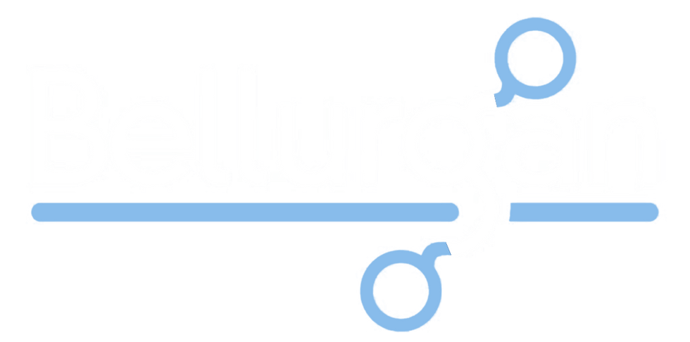 Bellurgan logo White.png