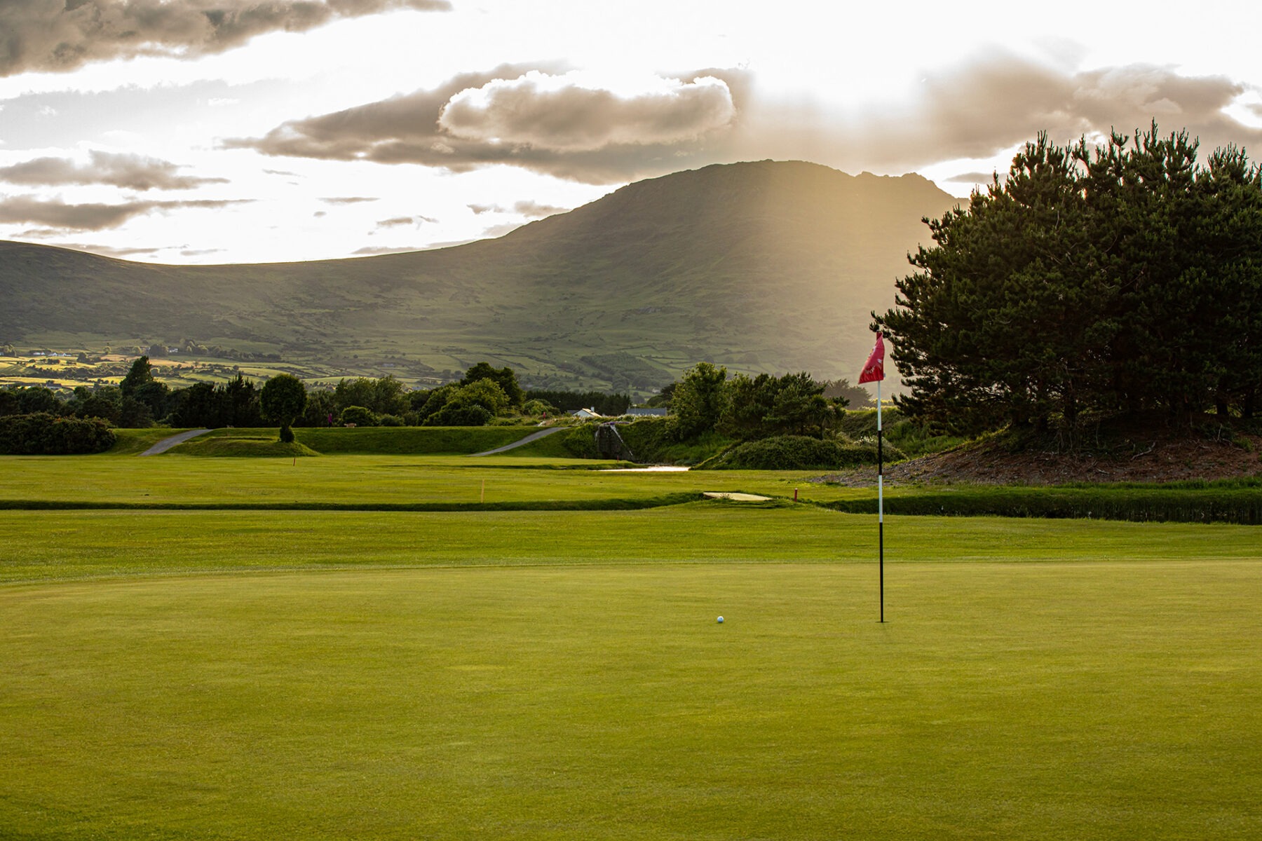The 8th green at Greenore Golf Club at sunset, looking toward Slieve Foy