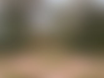 Airplanes, Plantations & Pastries: The Triple Stop I Didn’t See Coming