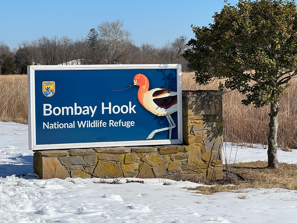 Our Adventures: The Art of a Slow Drive