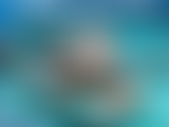 Six Senses商業模式為例:分析奢華養生旅遊的大趨勢