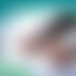 仲裁中的無形推手:評估師在現代商業仲裁的關鍵角色