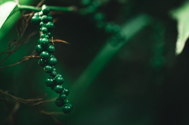 Estate  (12 of 29).jpg