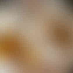 Authentic Cuban food from Estefan's Kitchen in Orlando, Florida