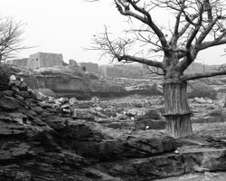 Banani Kokoro, Mali (Dogon region) 1991-92