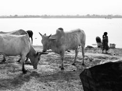 Koulikoro, Mali 1991-92
