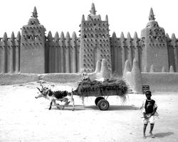 Mosque, Djenne, Mali 1991-92
