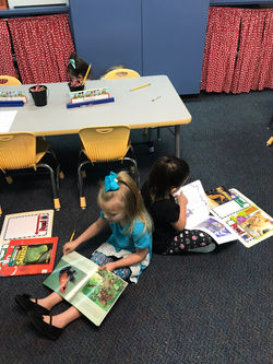 01c8d4ff1cb1c5bca17cf80f0e6d780af278228684