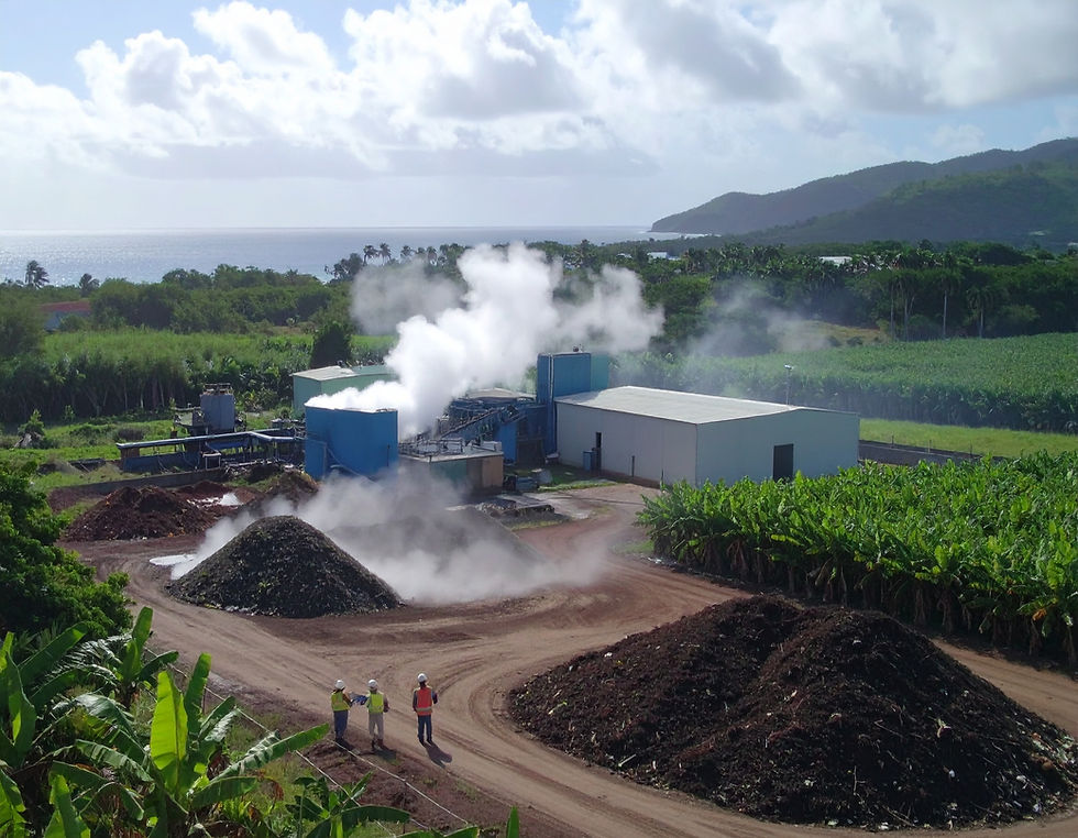 Firefly_Ultra realistic industrial composting facility in a tropical island environment (G