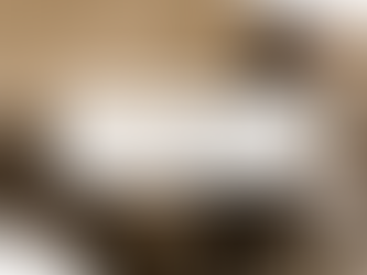 Monochromatic Magic: Style with One Shade