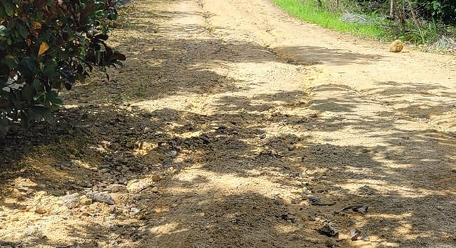 Dominican culture immersion - countryside safari adventure