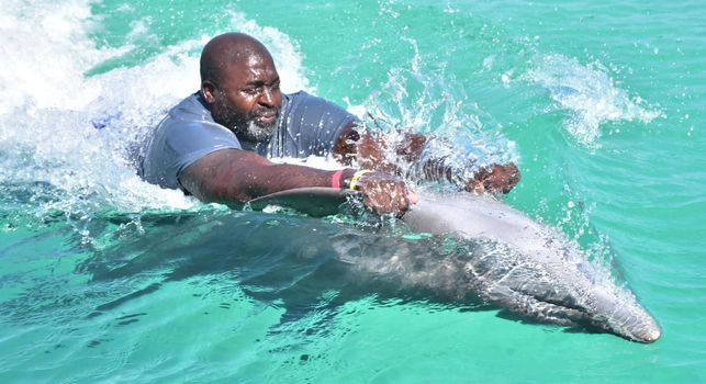 Dolphin Island Punta Cana - swimming with dolphins